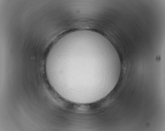 X0000112460359200908171022