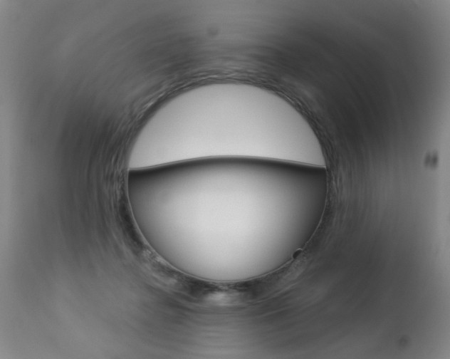 X0000112460364200908171022