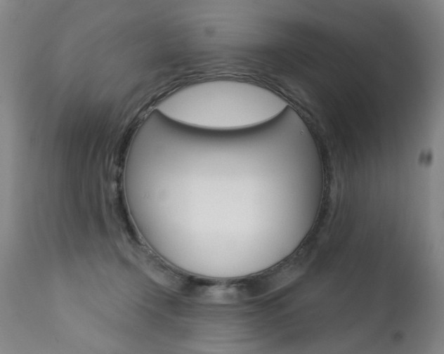 X0000112460366200908171022