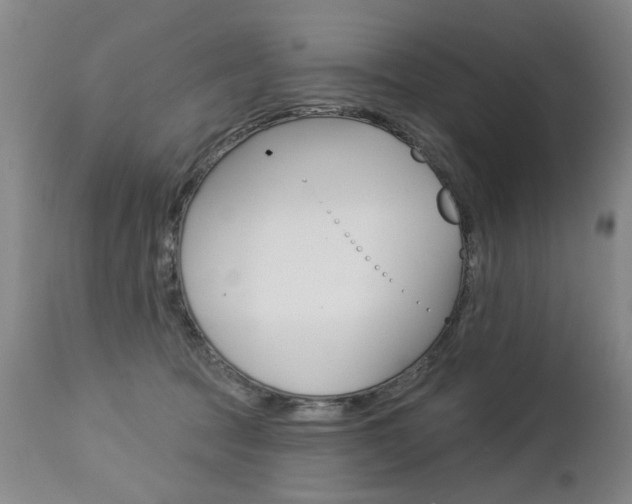 X0000112460369200908171022