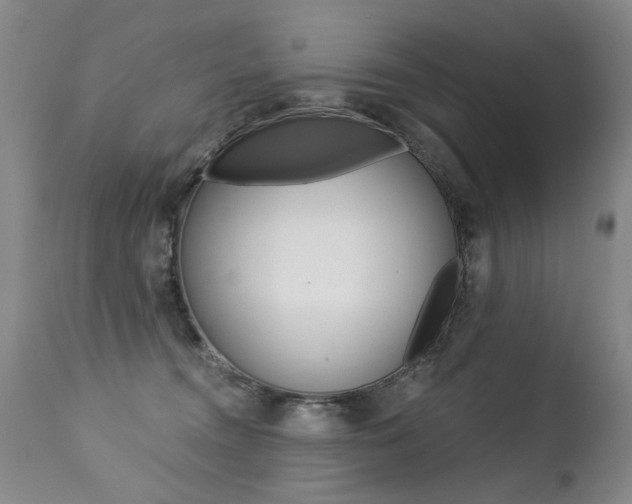 X0000112460372200908171022