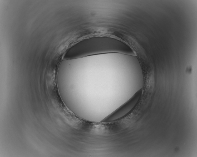 X0000112460376200908171022