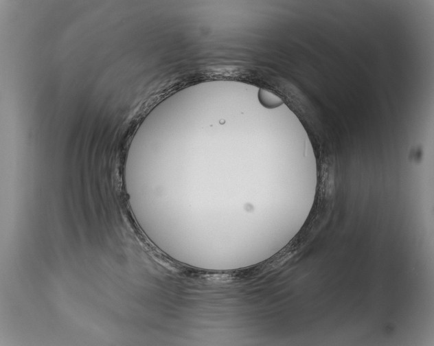 X0000112460377200908171022