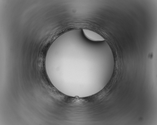 X0000112460379200908171022