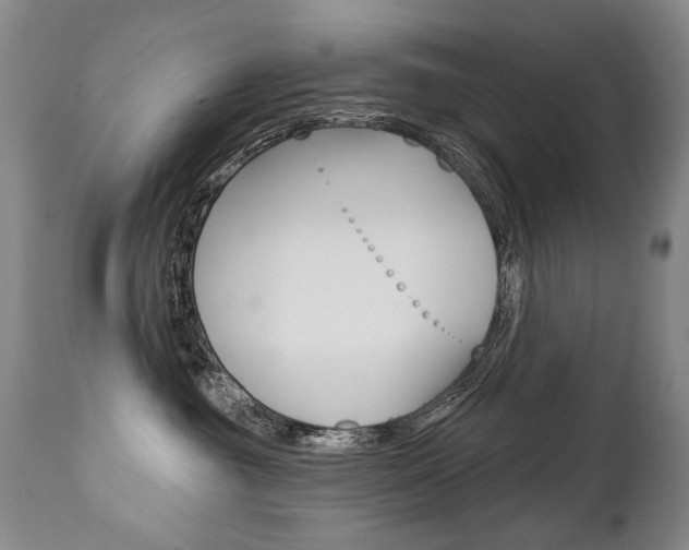 X0000112460381200908171022