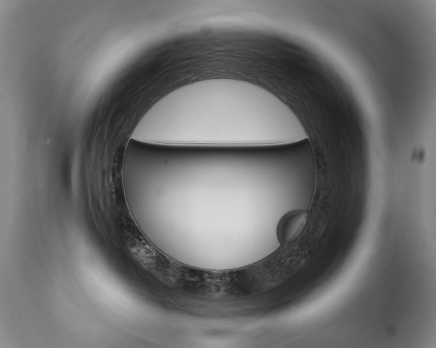 X0000112460382200908171022