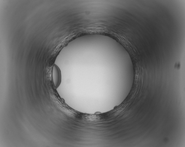 X0000112460383200908171022