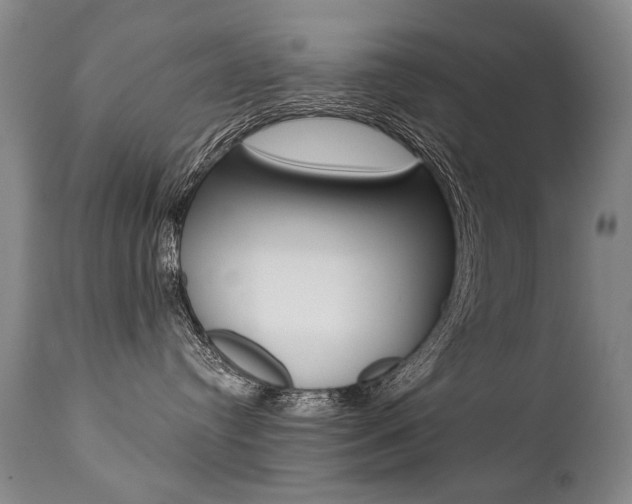 X0000112460384200908171022