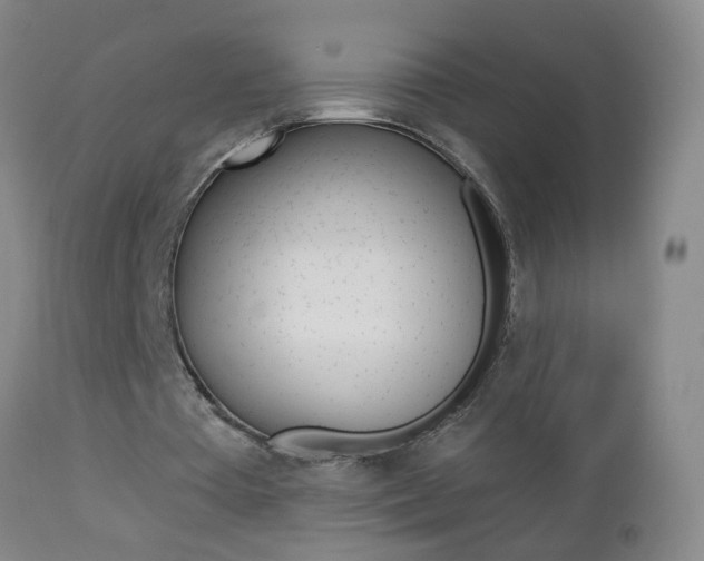 X0000112460385200908171021
