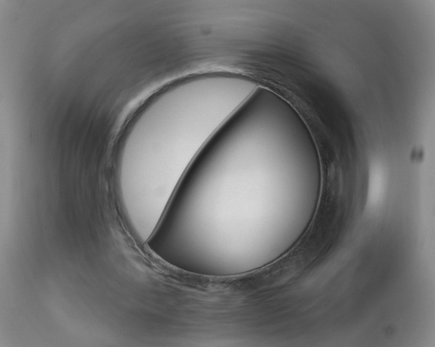 X0000112460388200908171021