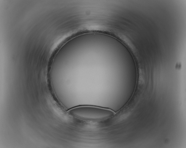 X0000112460391200908171021