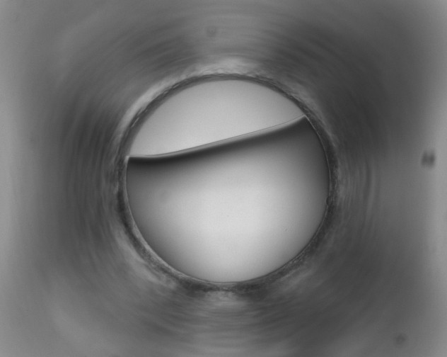 X0000112460392200908171021