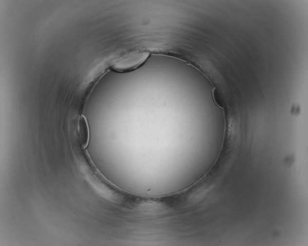 X0000112460397200908171021