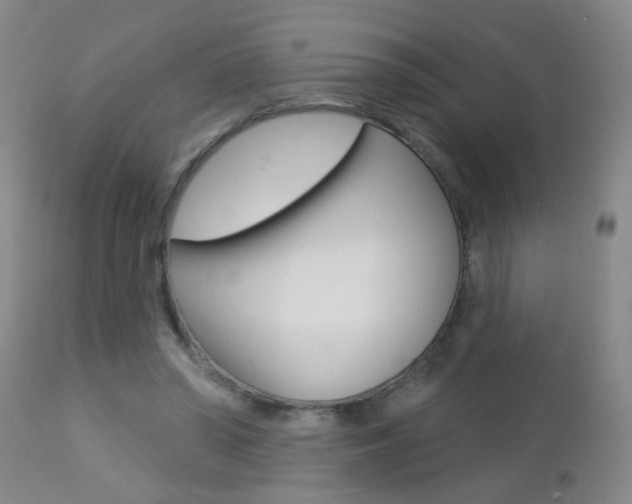 X0000112460398200908171021