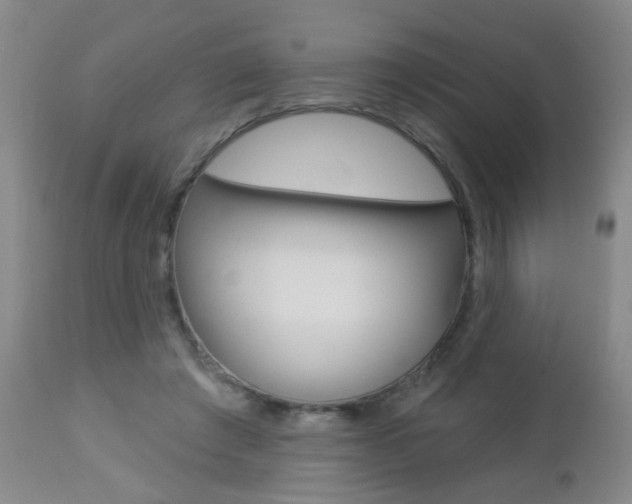 X0000112460401200908171021