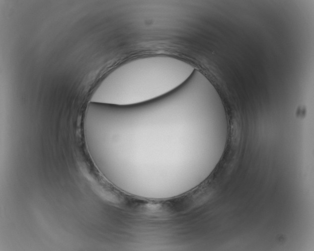 X0000112460406200908171021