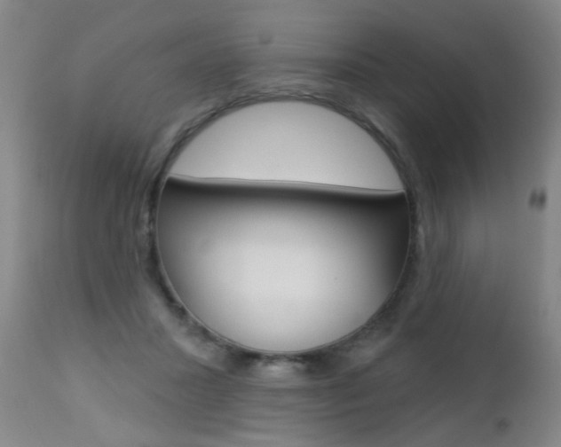 X0000112460407200908171021