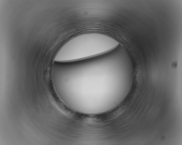 X0000112460408200908171021