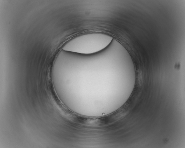 X0000112460410200908171021