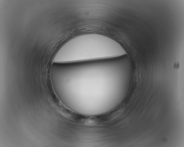 X0000112460412200908171021