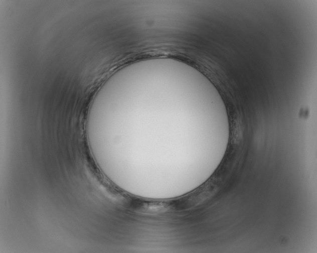 X0000112460414200908171021