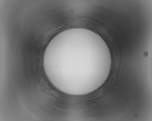 X0000112460416200908171021