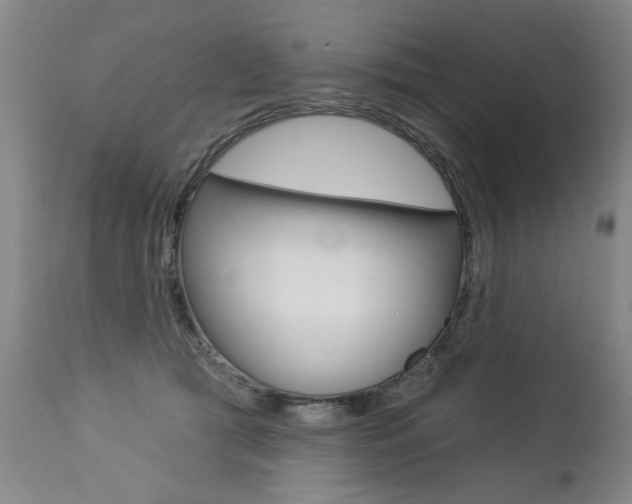 X0000112460417200908171021
