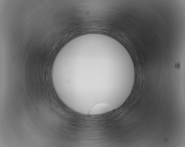 X0000112460419200908171021