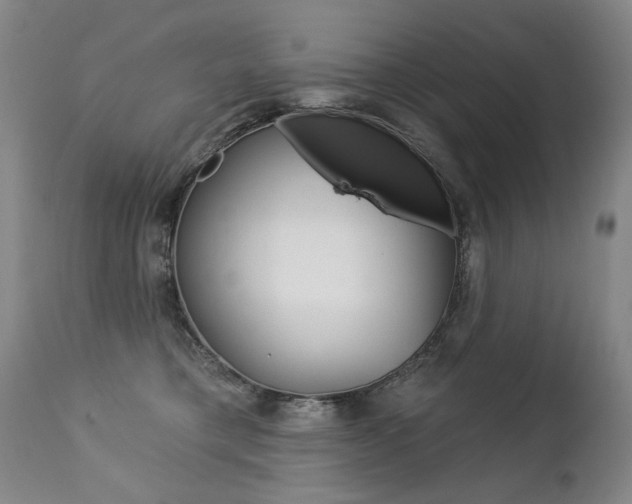 X0000112460421200908171021