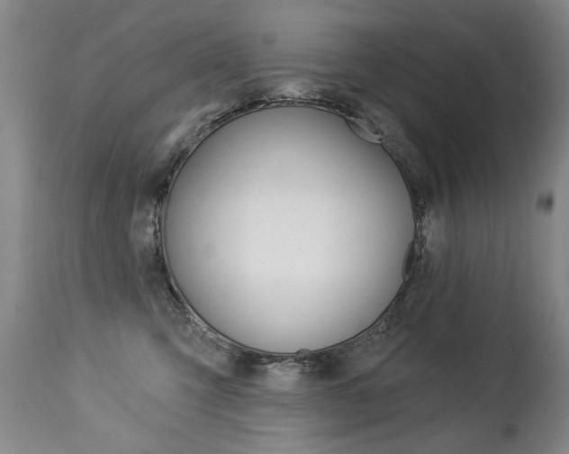 X0000112460423200908171021