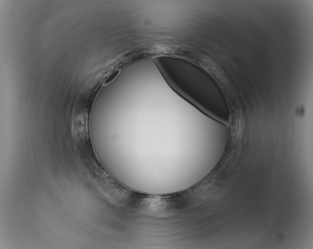 X0000112460425200908171021