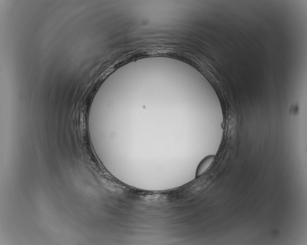 X0000112460426200908171021