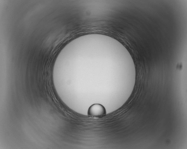X0000112460427200908171021