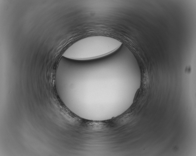 X0000112460428200908171021