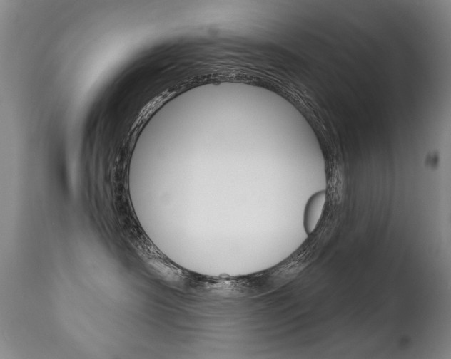 X0000112460430200908171020