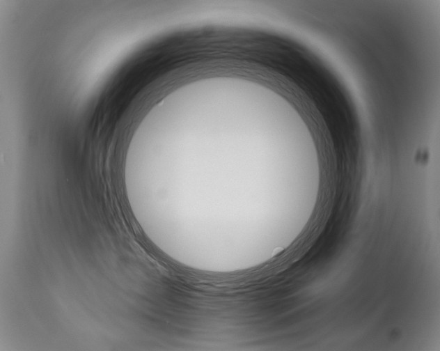 X0000112460431200908171020