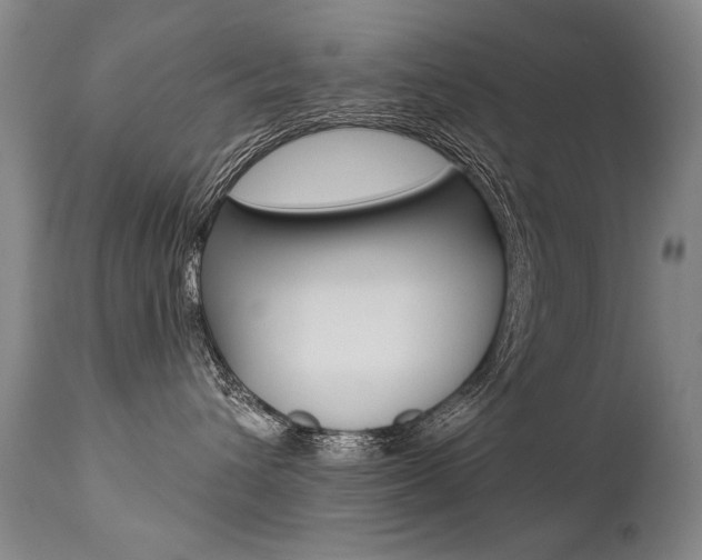 X0000112460432200908171020