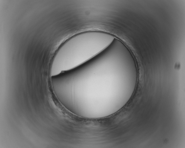 X0000112460434200908171020