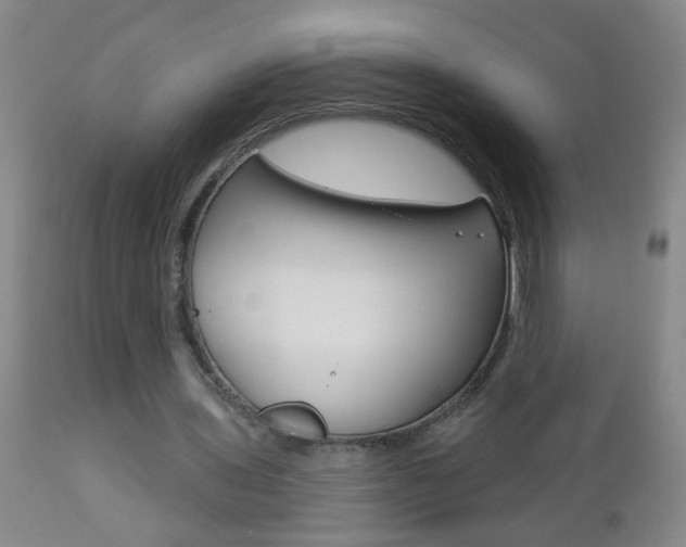 X0000112460435200908171020