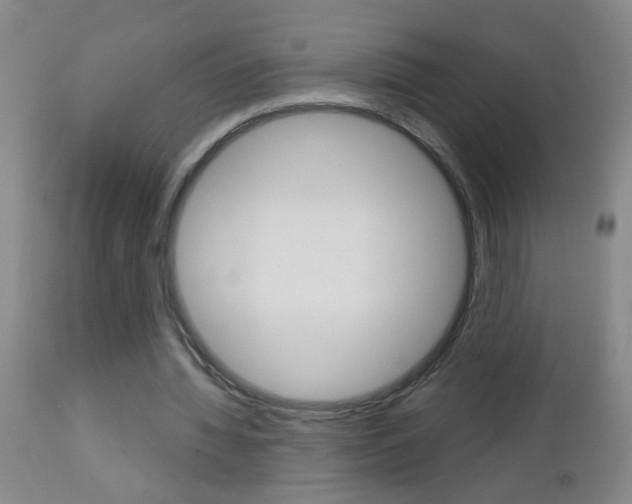 X0000112460436200908171020