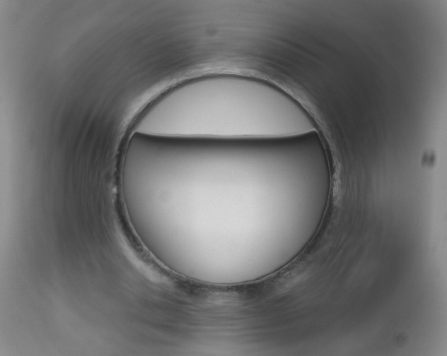 X0000112460438200908171020