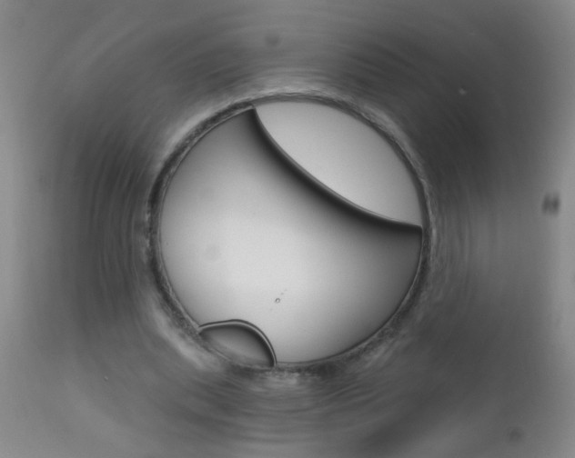 X0000112460439200908171020