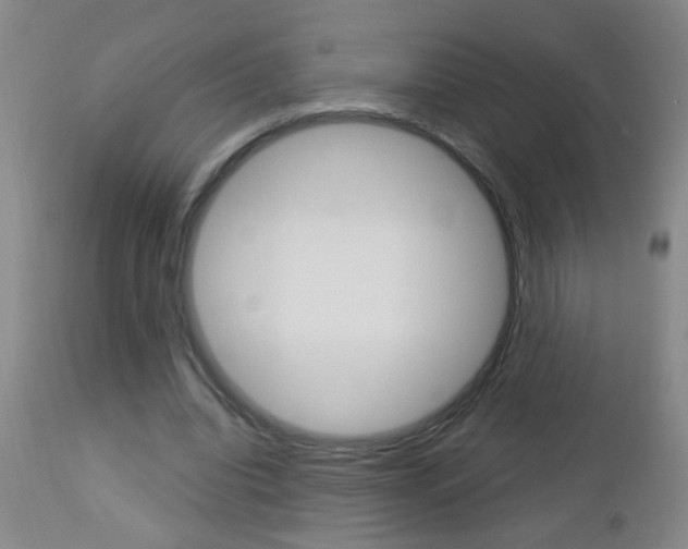 X0000112460440200908171020