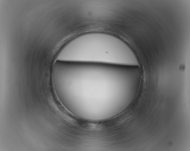 X0000112460442200908171020