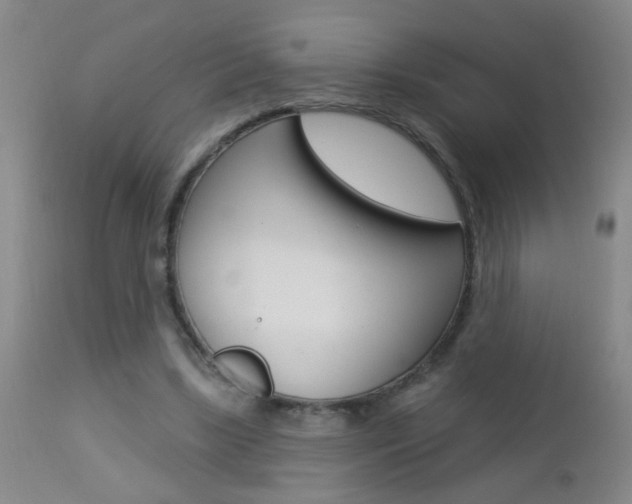 X0000112460443200908171020