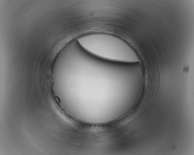 X0000112460445200908171020