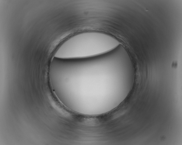 X0000112460446200908171020
