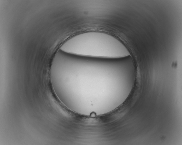 X0000112460449200908171020