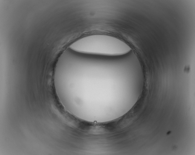 X0000112460451200908171020