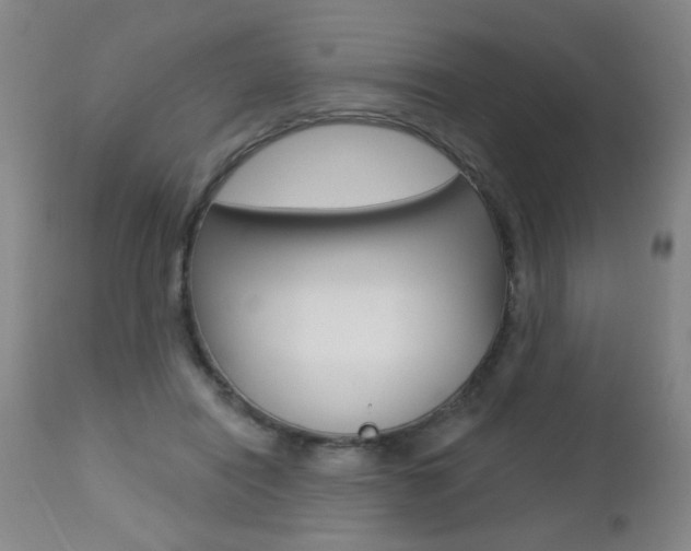X0000112460454200908171020
